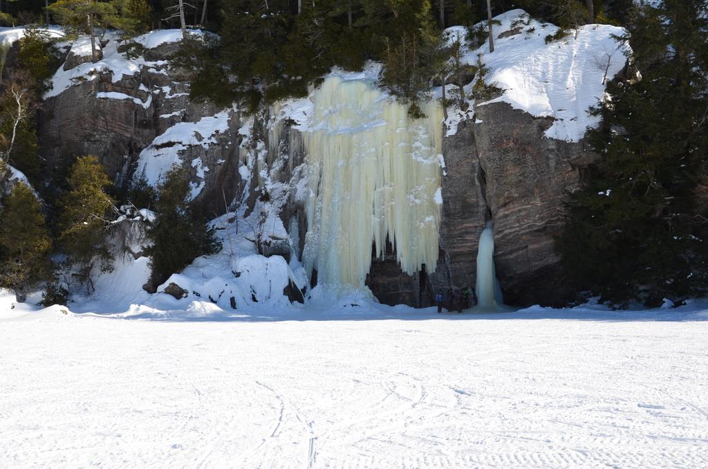Algonquin Highlands Oakview Lodge & Marina المظهر الخارجي الصورة