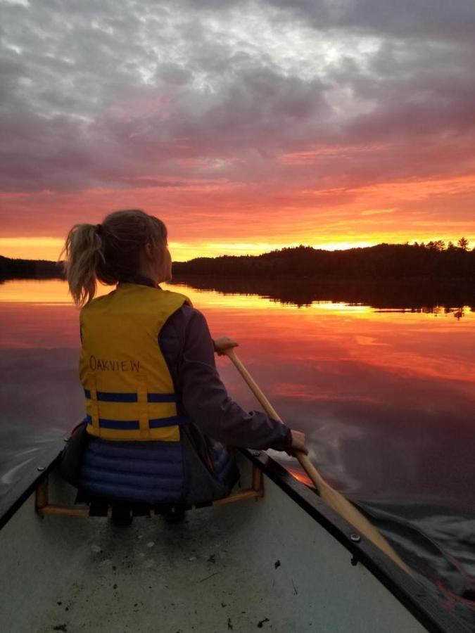Algonquin Highlands Oakview Lodge & Marina المظهر الخارجي الصورة
