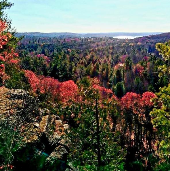 Algonquin Highlands Oakview Lodge & Marina المظهر الخارجي الصورة