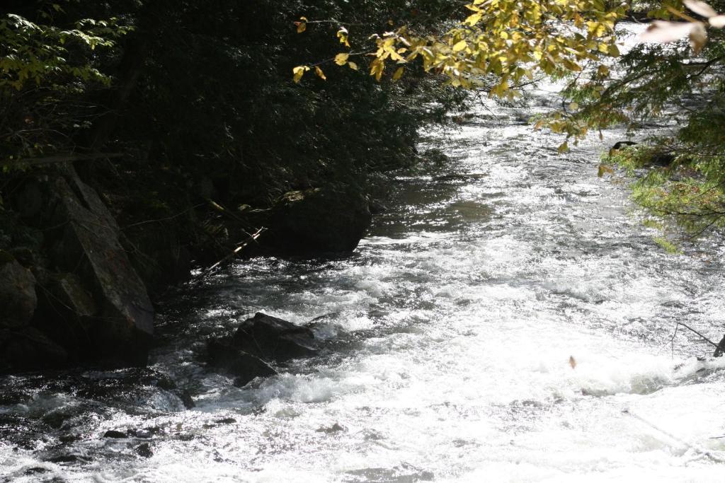Algonquin Highlands Oakview Lodge & Marina المظهر الخارجي الصورة