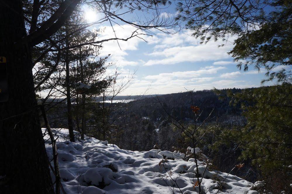 Algonquin Highlands Oakview Lodge & Marina المظهر الخارجي الصورة